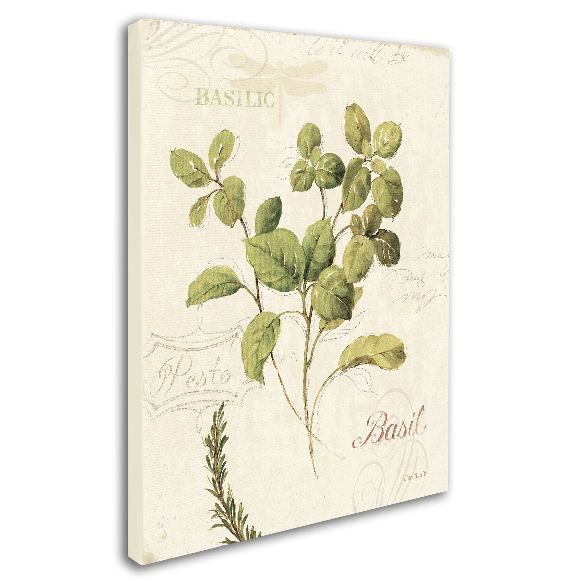 Trademark Fine Art "Aromantique III" Canvas Art by Lisa Audit