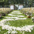 thumbnail image 2 of 400 Unids PéTalos de Seda PéTalo Artificial para el Banquete de Boda Home Hotel DecoracióN del Día de San ValentíN,, 2 of 5