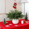 thumbnail image 4 of Artificial Pine Branches 12 PCS Realistic Christmas Greenery Stems Real Touch Cedar Pine Needles for DIY Crafts Wreath Garland Holiday Home Decoration 18 Inch, 4 of 6