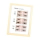 thumbnail image 4 of Póster de estilo de pestañas, formularios de técnico de pestañas para maquillaje, pestañas postizas de belleza pestañas inferiores, 4 of 9