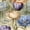 Color 2, variant on Peel and Stick Wallpaper Tulip Blossoms Varying Stages Soft Shading Wall Mural 17.7in x 9.8ft Self Adhesive Removable Renter Friendly Wall Paper Decor for Walls Cabinets Home