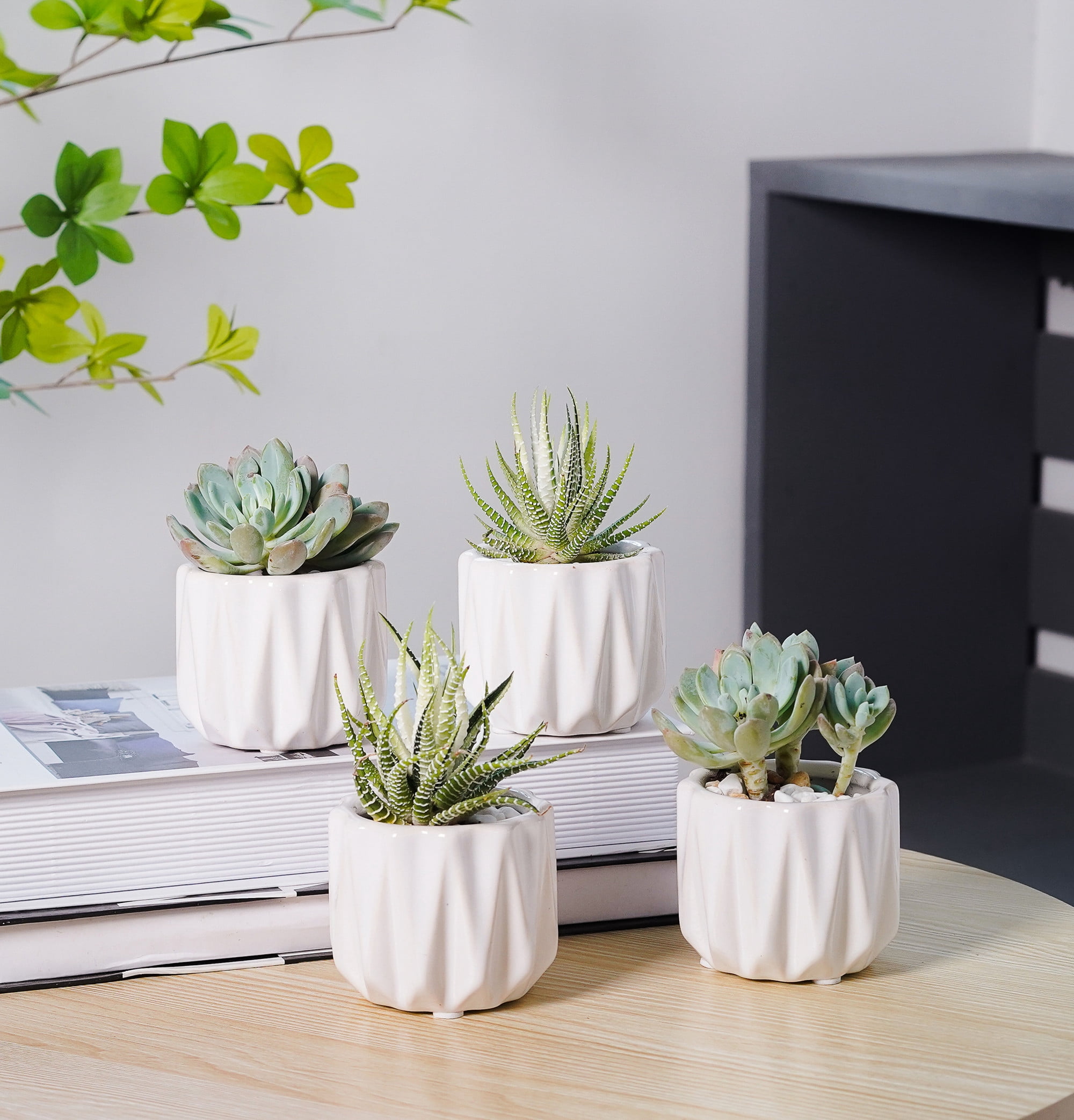 Better Homes & Gardens Pottery set of 6 3" Devi Round Ceramic Planters-White