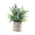 thumbnail image 4 of CoudarTitie Artificial Small Potted Plants Faux Plant in Pot 6x9.4inch Small Fake Plants for Eucalyptus, 4 of 9