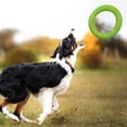 thumbnail image 4 of Dog Training Ring- Flying Squirrel Dog Toy Outdoor Dog Toys, 4 of 4