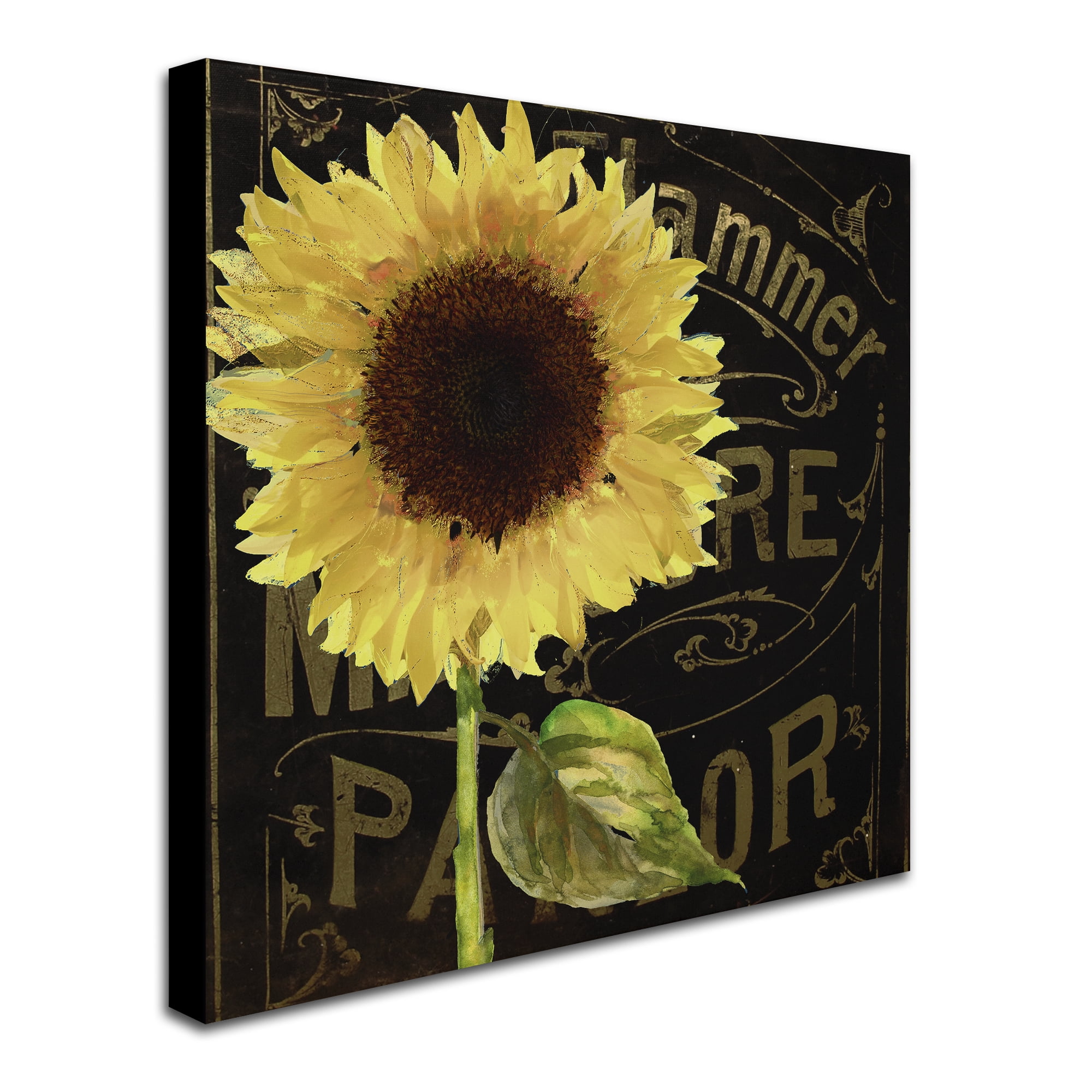 Trademark Fine Art "Sunflower Salon I" Canvas Art by Color Bakery