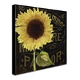 thumbnail image 3 of Trademark Fine Art "Sunflower Salon I" Canvas Art by Color Bakery, 3 of 4