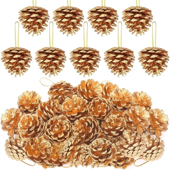 Pine Cones Decorating Small Crafts for Christmas and Thanksgiving 18 Pcs