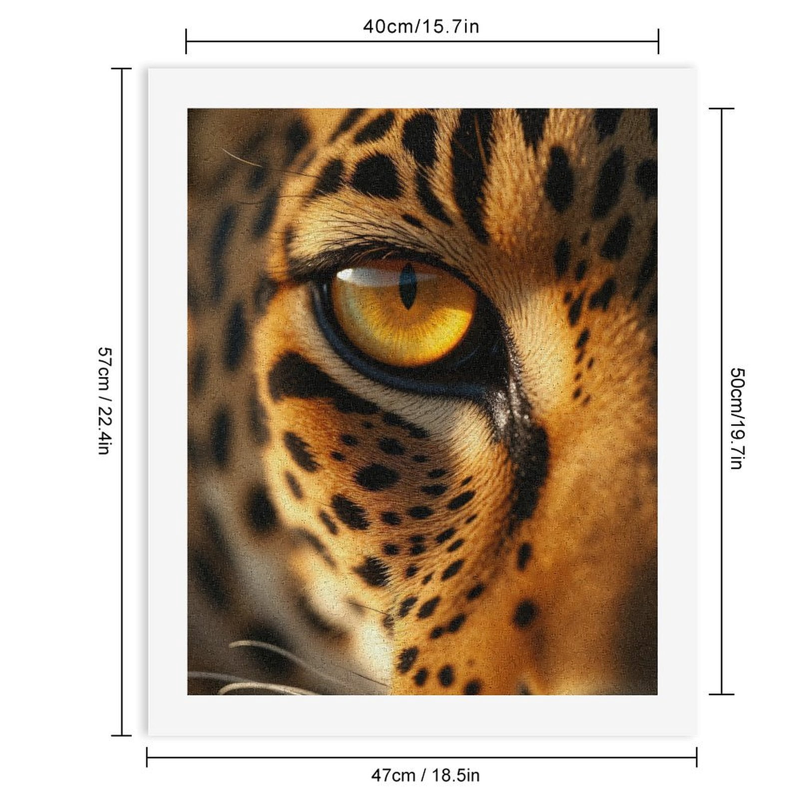 Paint by Numbers Kit for Adults, Golden Eye Of Majestic Leopard Paint by Numbers, Easy Paint by Numbers Kit for Adults Beginner, DIY Adult Paint by Number Kits on Canvas, Home Decor