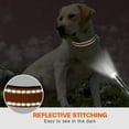 thumbnail image 5 of Reflective Dog Collar with Safety Locking Buckle, Adjustable Nylon Pet Collars for Medium Dogs Female Male, Tan, M, 5 of 5