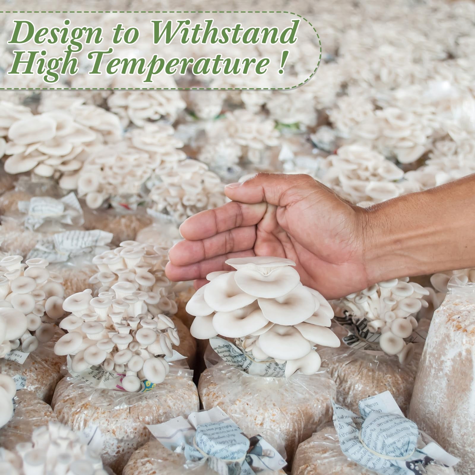 20 Pcs Mushroom Grow Bags with 0.2 Micron Filter Patch, 3 Mil