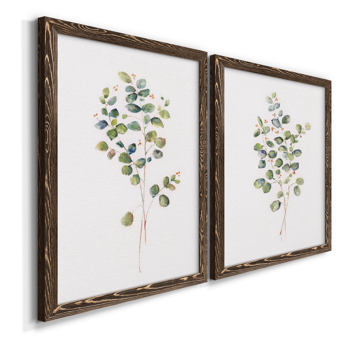 Eucalyptus I - Premium Framed Canvas 2 Piece Set - Ready to Hang