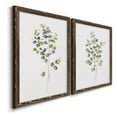 thumbnail image 3 of Eucalyptus I - Premium Framed Canvas 2 Piece Set - Ready to Hang, 3 of 7