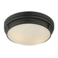 thumbnail image 5 of Lucerne 3-Light Ceiling Light in English Bronze, 5 of 9