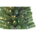 Celebrations 9044204 4 ft. Full LED 70 Lights Color Changing Christmas