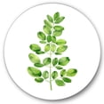 thumbnail image 2 of Designart - Moringa Branch Tropical Tree Foliage - Farmhouse Metal Circle Wall Art, 2 of 5