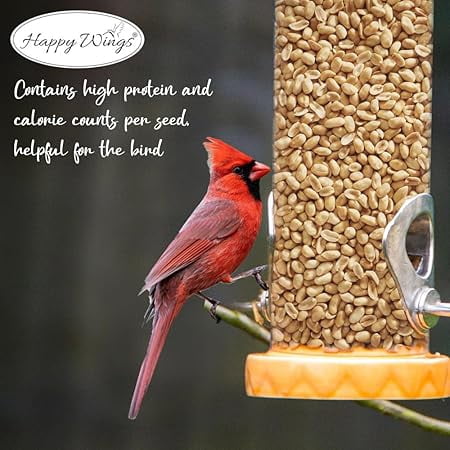 Happy Wings Shelled Peanuts Seeds Wild Bird Food - 5 Pounds I No Grow Seed I Bird Seed for Wild Birds