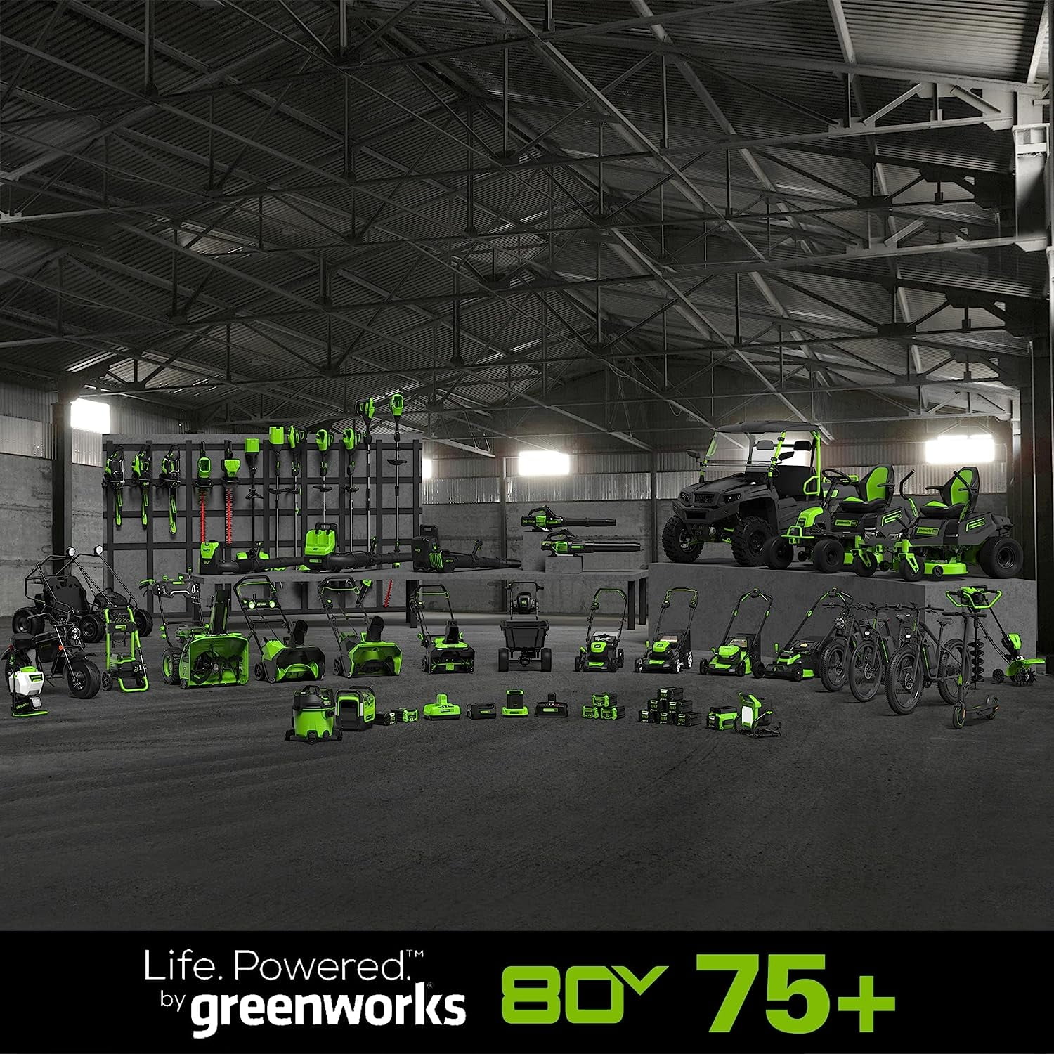 Greenworks 20-Inch 80V Cordless Pole Hedge Trimmer, PH80B00
