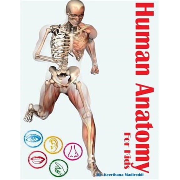 Human Anatomy for Kids (Paperback)