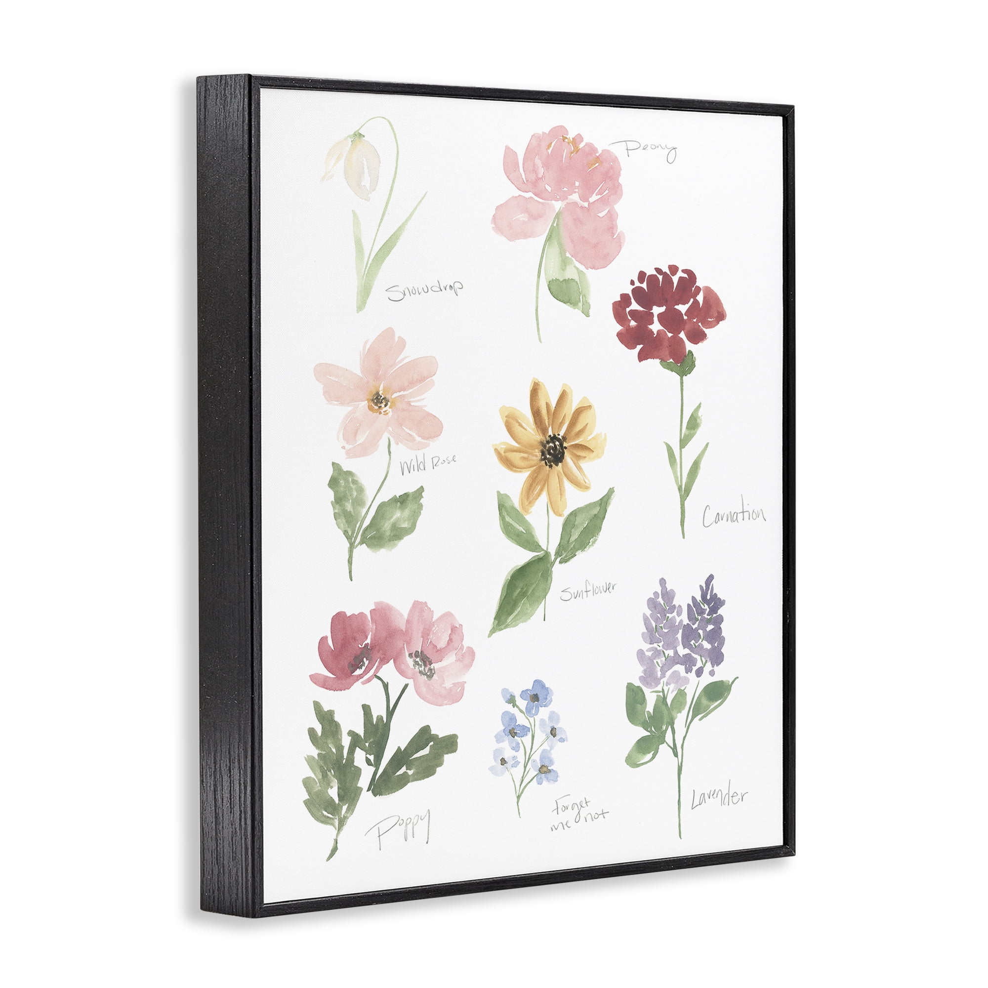 Stupell Industries Labeled Flower Varieties Black Framed Giclee Art, design by Lucille Price