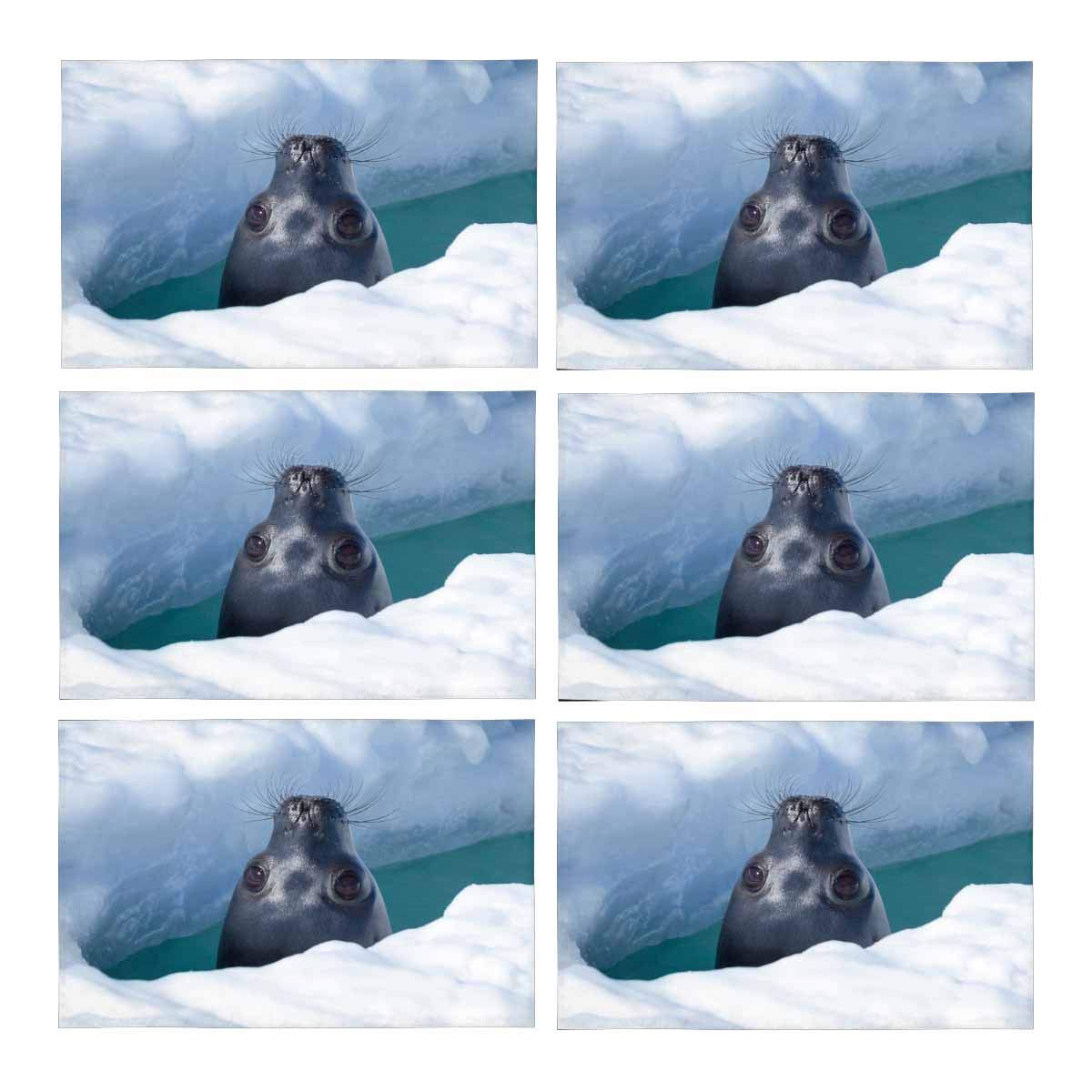 MKHERT Funny Weddell Seal Through A Breathing Hole In The Ice Placemats MKHERT Funny Weddell Seal Through A Breathing Hole In The Ice Placemats