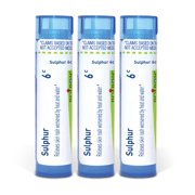 Boiron Sulphur 6C, Homeopathic Medicine for Skin Rash Worsened By Heat And Water, 3 Count (3 x 80 Pellets)