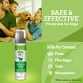 thumbnail image 2 of Natural Care Flea & Tick Leave-In Foam for Dogs - 8 Ounces, 2 of 8