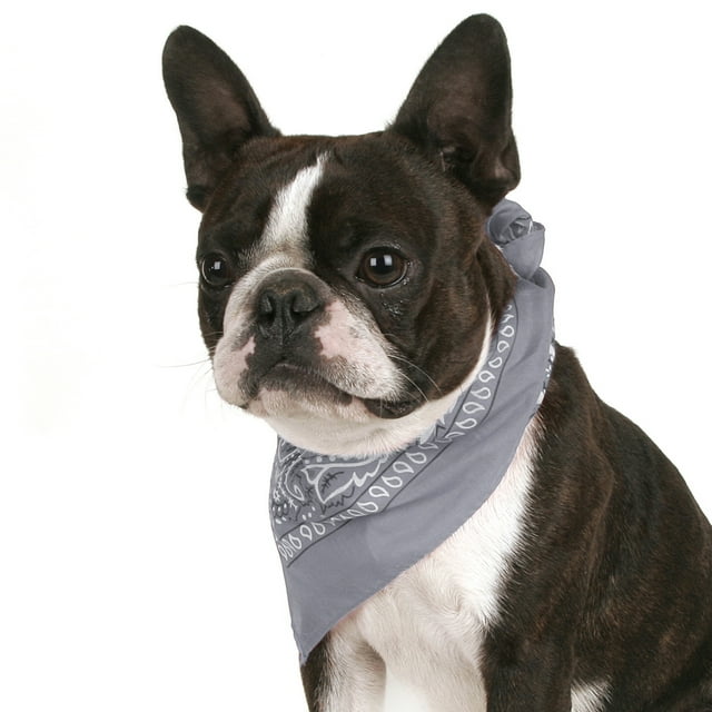 Mechaly Lot de 8 Bandanas en Coton Paisley pour Chien Forme Triangle - Convient à la Plupart des Animaux