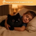thumbnail image 4 of Peluche Gato Negro Pesado SQEQE Almohada Suave 25 cm, 4 of 9