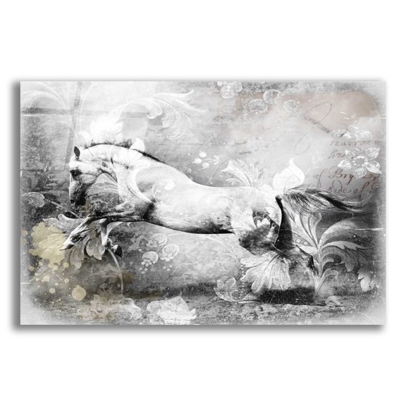 Epic Art 'White Horse' by GraphINC, Acrylic Glass Wall Art, 24"x16"
