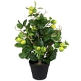 thumbnail image 5 of Northlight 1.9' Unlit Artificial Potted Bonsai-Style Green Apple Tree, 5 of 9