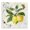 Vintage Lemon Pattern, variant on Stupell Industries Farmhouse Black Framed Giclee Art, 12 x 12, by Danhui Nai