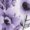Purple, variant on Blouses for women dressy casual Bubble Wrinkles Soft Clothing M Pink womens blouses
