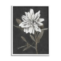 Stupell Industries Modern White Dahlia Blossom Sprout Painting White Framed Art Print Wall Art, Design by Nina Blue
