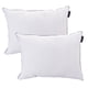 thumbnail image 1 of Almohada One Pack de 2, 1 of 6