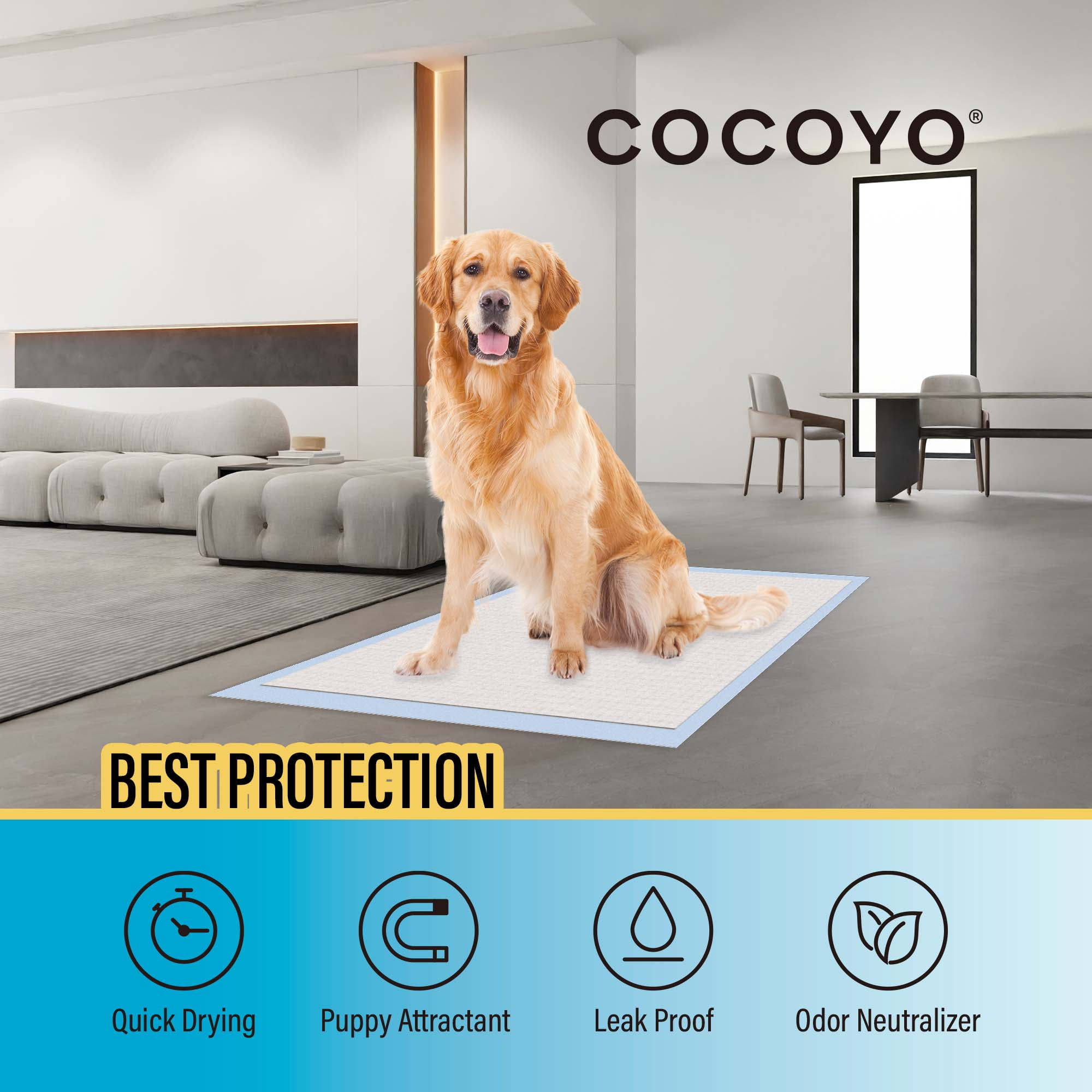 Cocoyo A38 Dog Training Pads, 30"X36", 80 Count, XXL,Blue