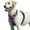 Blue+Orange, variant on Dog Harness for Large Dogs, No Pull Service Vest with Reflective Strips and Control Handle, Adjustable and Comfortable for Easy Walking, No Choke Pet Harness with 2 Metal Rings, Pink, L