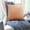 B, variant on Gosuguu Cozy Velvet Cushion Covers, Decorative Throw Pillow Covers, Chair and Sofa Pillows, Soft Plush Covers for Living Room