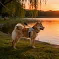 thumbnail image 2 of WMQPNNS New Trending Breathable No Pull Harness With Reflective Leash – Soft Cationic Mesh Vest for Small Easy On/off Adjustable Fit All Season Comfort, 2 of 4