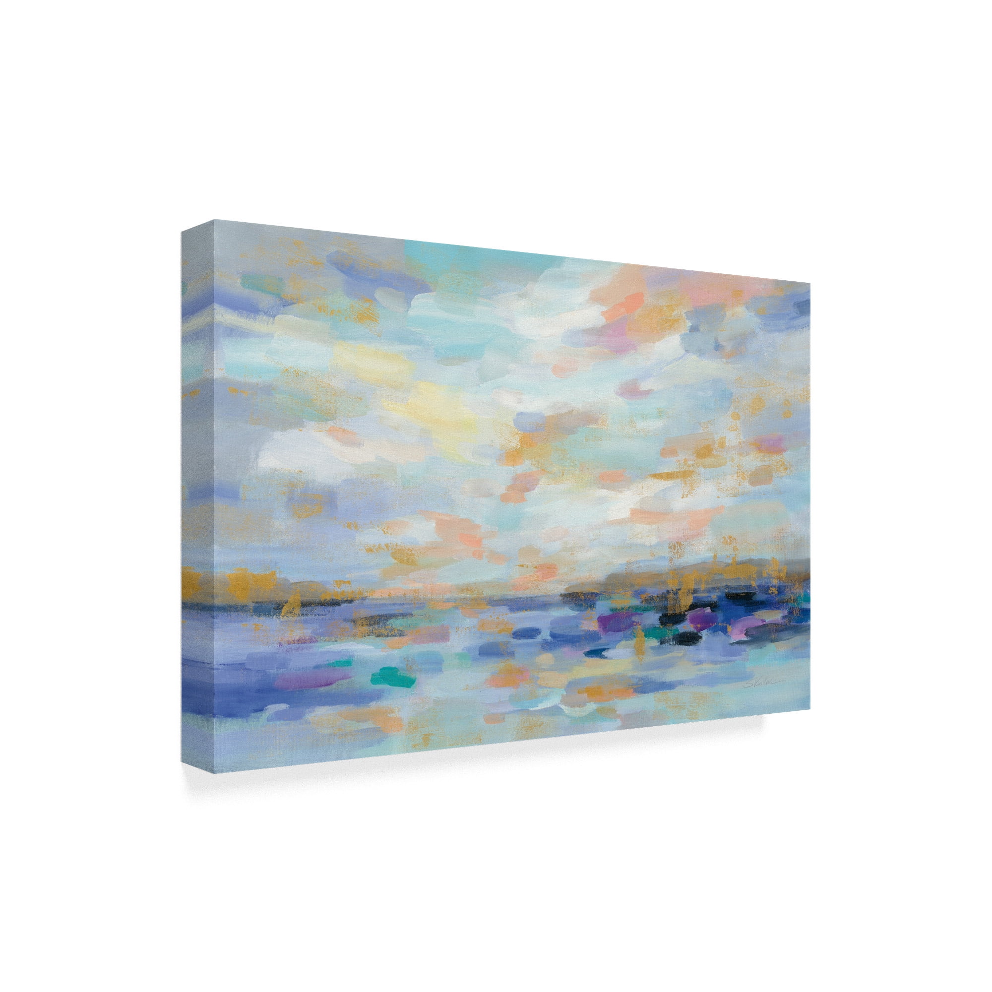 Trademark Fine Art 'Golden Sunrise Pink' Canvas Art by Silvia Vassileva