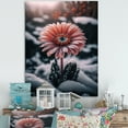thumbnail image 2 of Designart A Blooming Pink Gerbera Flower In Winter II Canvas Wall Art, 2 of 5