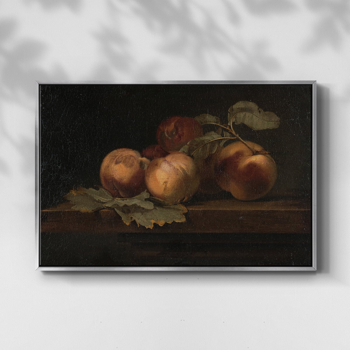Vintage Botanical Print-LXXIX By Wexford Home Framed in Silver Wood Gallery Wrapped Canvas 17 in. x 25 in.