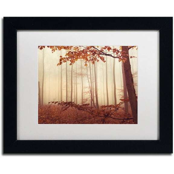 Trademark Fine Art "The Last of Fall" Canvas Art by Philippe Sainte-Laudy White Matte, Black Frame