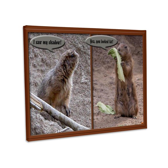 3dRose, GroundHog Humor, Museum Grade Canvas Wrap 20x16