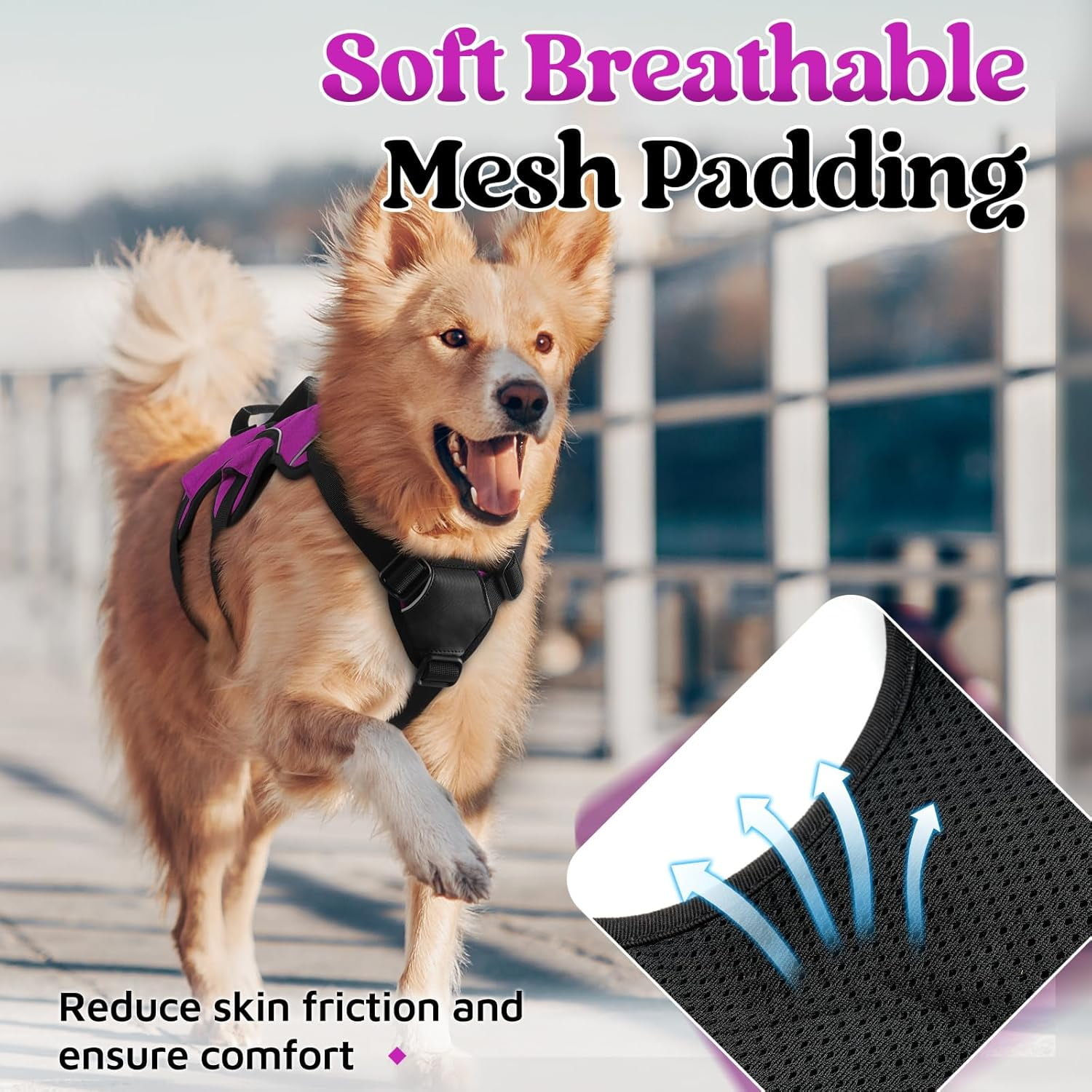 rabbitgoo Escape Proof Dog Harness, Soft Padded Full Body Pet Harness, Reflective Adjustable No Pull Vest with Lift Handle and Lesh Clip for Large Dogs Walking Hiking Training, Purple
