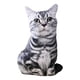 thumbnail image 1 of Cojín de sofá de peluche de animales, almohada para dormir, animales de peluche, juguete de peluche para gato blanco y negro, 1 of 9