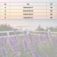 thumbnail image 3 of Sentmoon Bralettes for Women Comfort Bras for Women Lace Trim Wireless Push-Up Bra Breathable Soft Stretch Smooth Seamless Light Padding Comfort Lift Support Solid Color T Shirt Bralette, 3 of 5