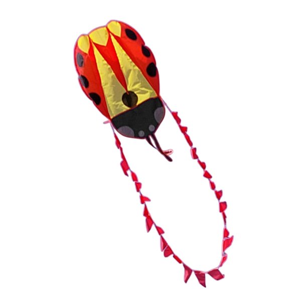 Ceta inflable para niños Juguetes al aire libre con una línea de 100 metros y cola Colorido de juguete volador Cometa en forma de animal para niños en Rojo