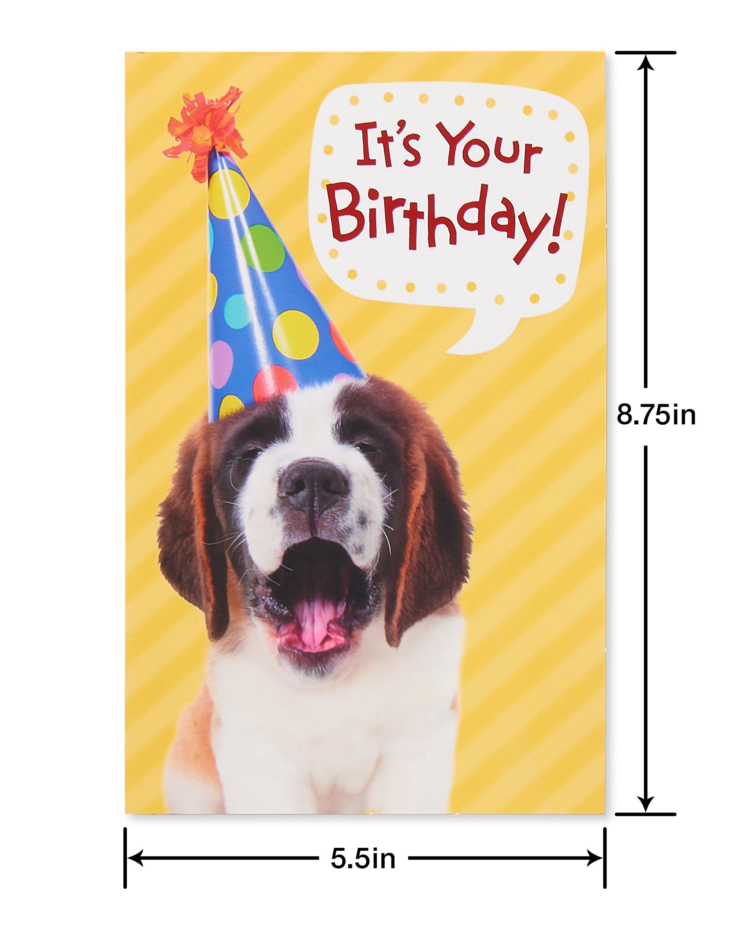 American Greetings Kids Birthday Cards Bundle (12-Count)