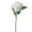 White, variant on Beautynvta Artificial Roses Flowers, Single Branch Simulation Rose with Leaves Plants, Fake Flower Bouquets for Photography Ceremony Spring Home Decor Gifts, 11", White