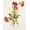 Red, variant on Vintage-Style NON-FIRE Waterslide Decals for Easy Decoration of Most Smooth Surfaces Including Glass and Ceramic - (2 Sheets) (Pink and Red)